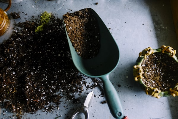 Housewarming Plant & Gift Set